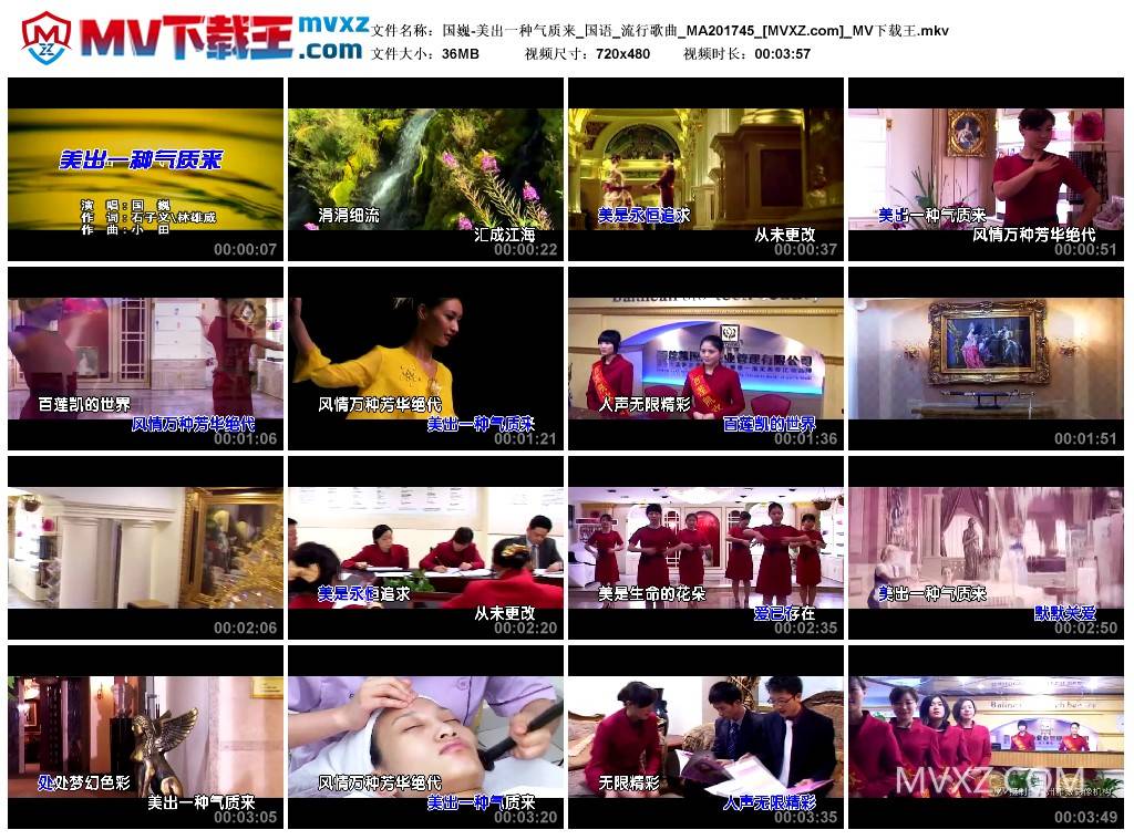 国巍-美出一种气质来_国语_流行歌曲_MA201745